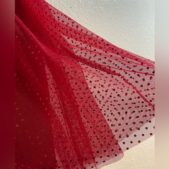 Red Mesh Skirt, Girls Size XL (14-16), NWT, Great for Christmas 🎄 or V-Day ❤️ - Picture 3 of 5